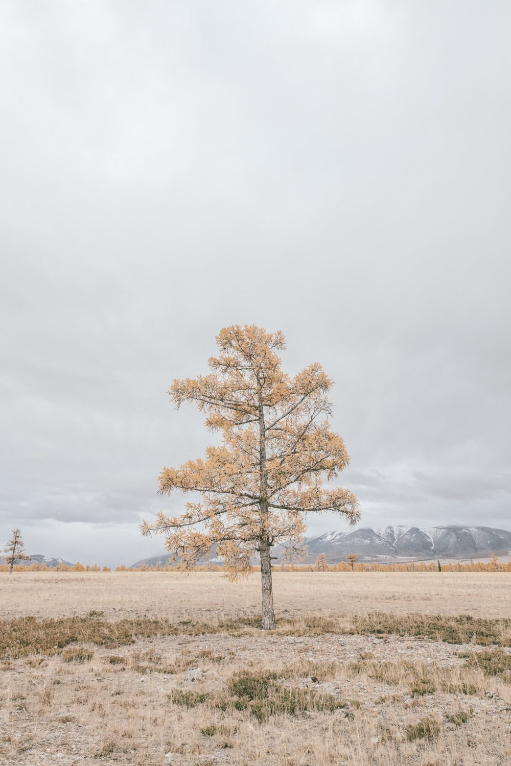 Altai Dream — personal project of photographer Vadim Sherbakov. Vadim Sherbakov Portfolio