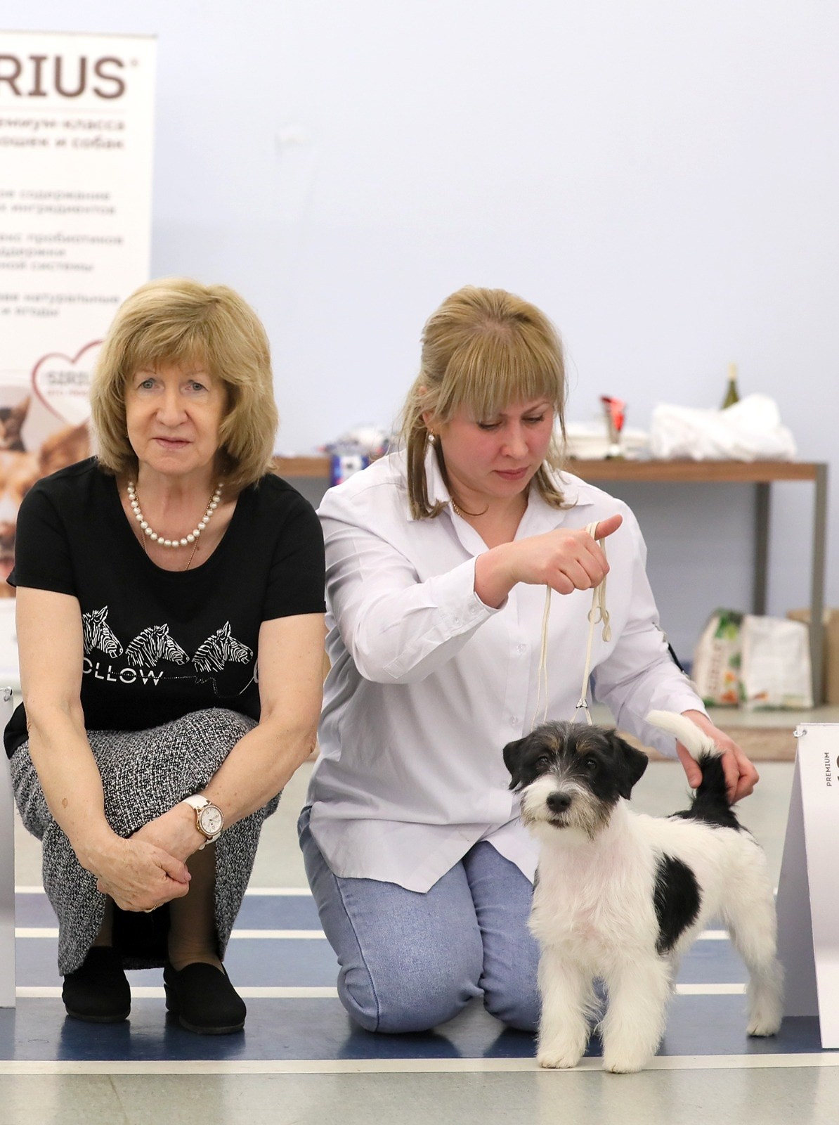 Port Fortis Destiny Of Love