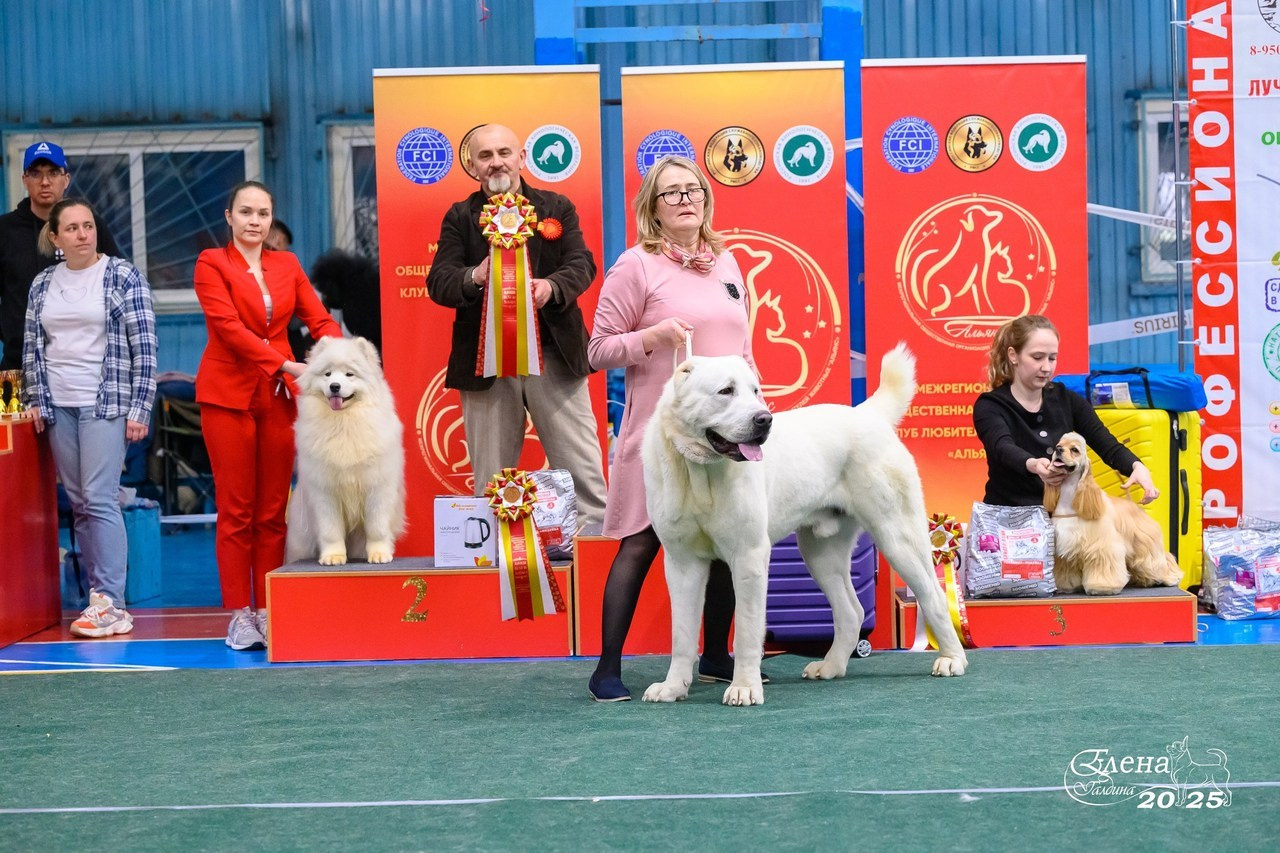 Отзывы. Фотограф анималист Елена Галдина г. Красноярск