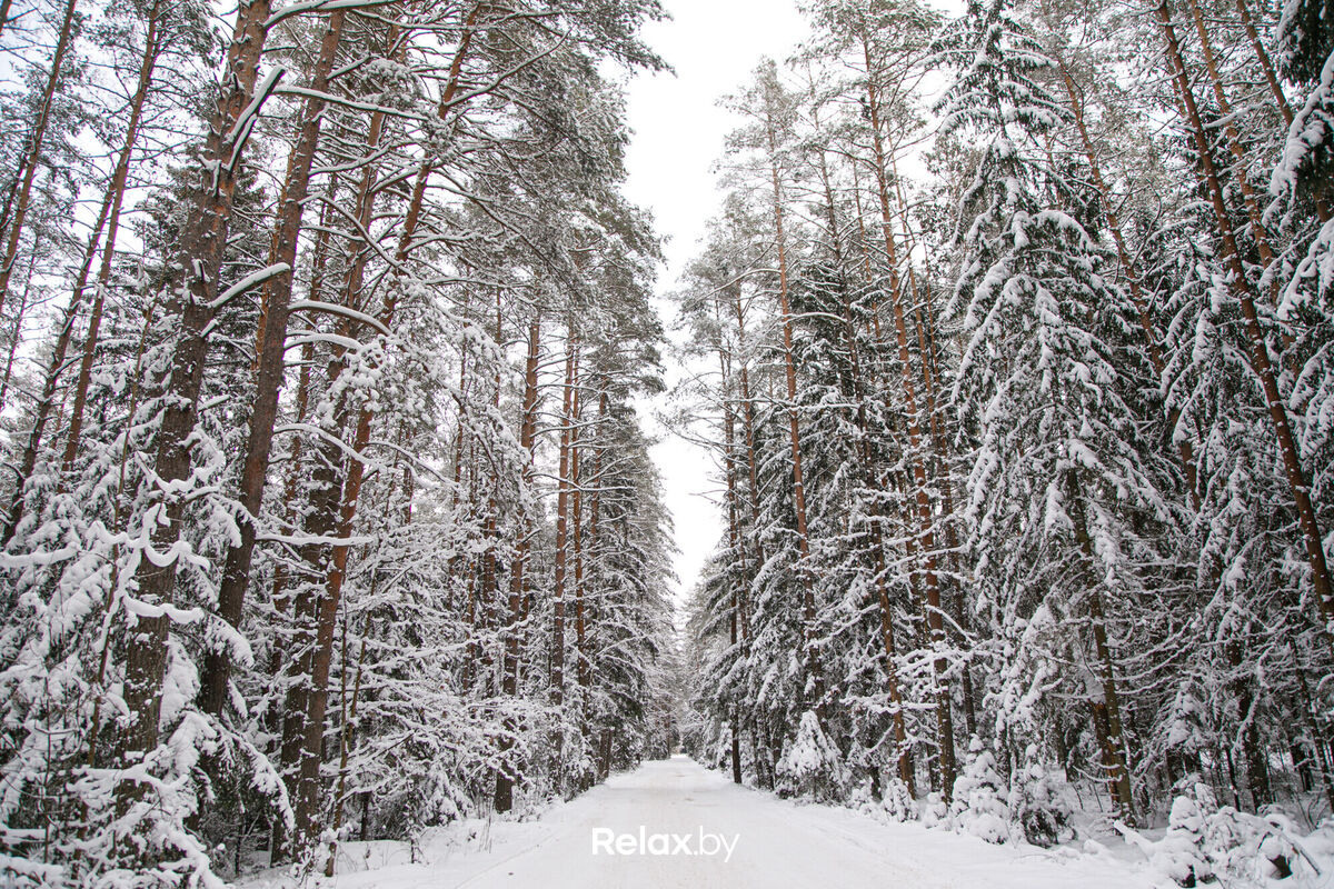 Интерьеры. Репортажный фотограф Александр Задорин, Минск, Беларусь