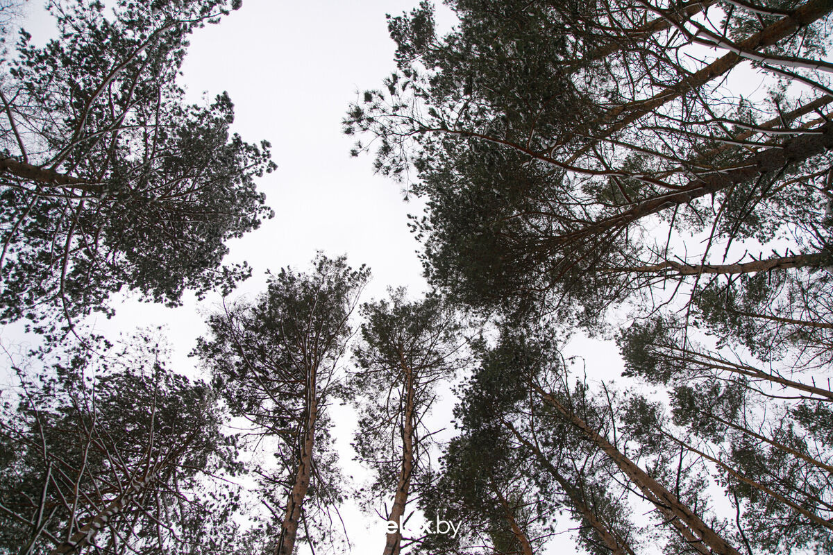 Интерьеры. Репортажный фотограф Александр Задорин, Минск, Беларусь