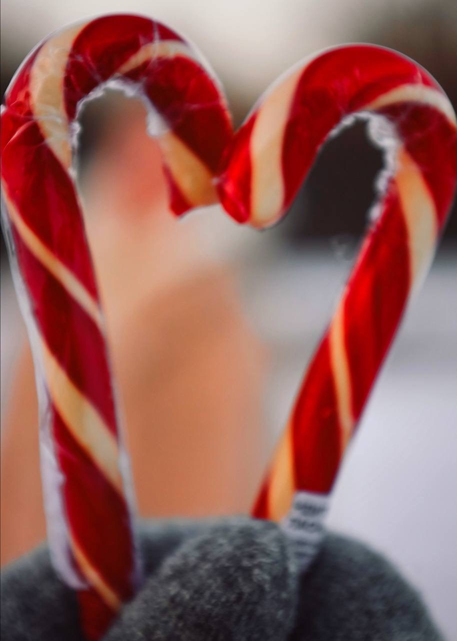 Морозный день. V I KA P H O T O