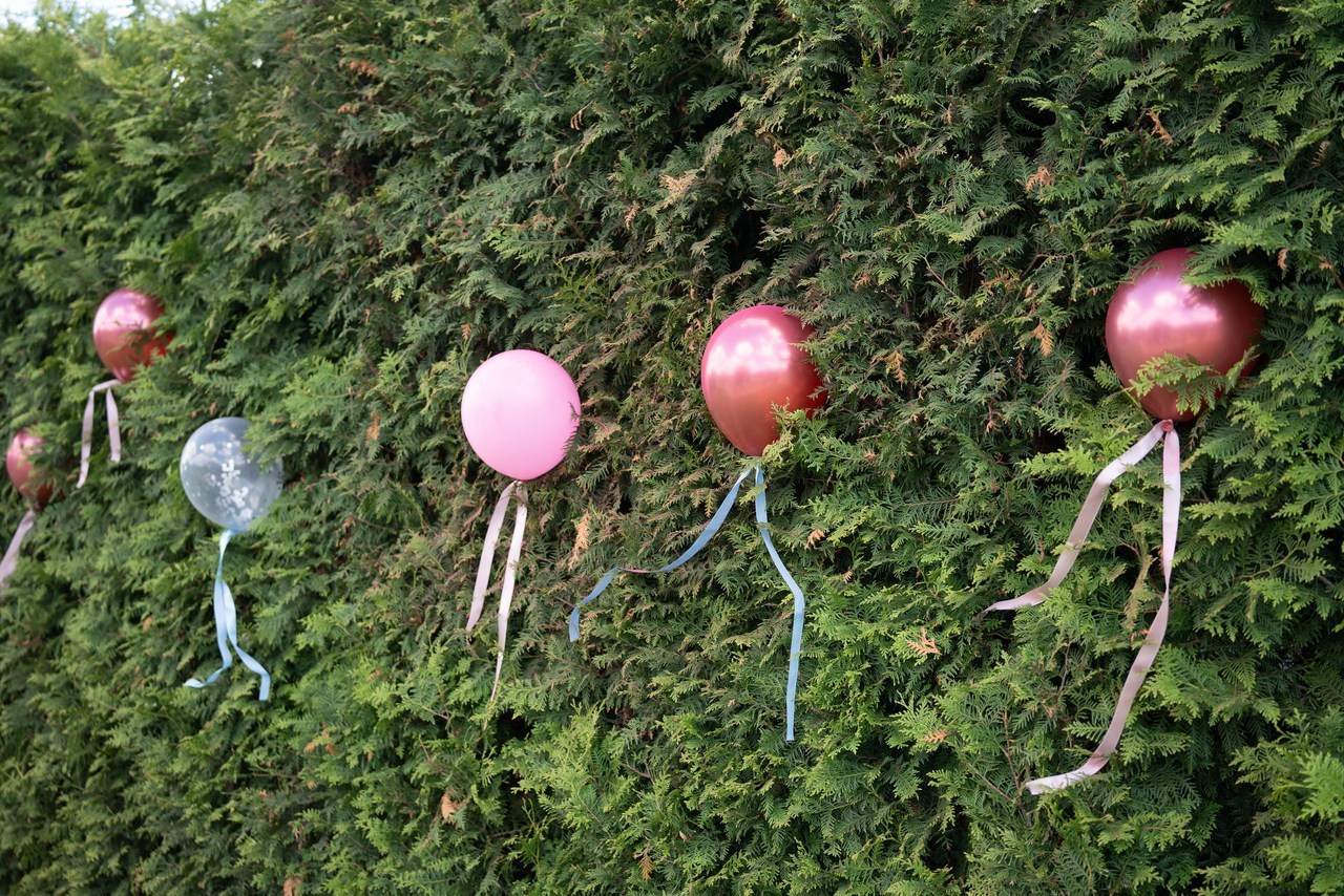 Отзывы. PROmedia