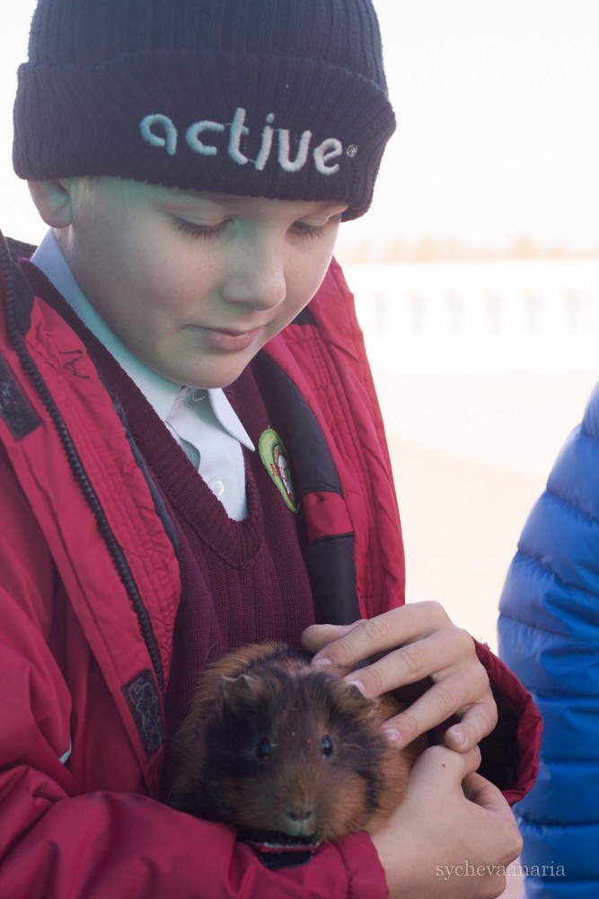 Ярмарка талантов. Детский и семейный фотограф, фотограф мероприятий Нижний Новгород