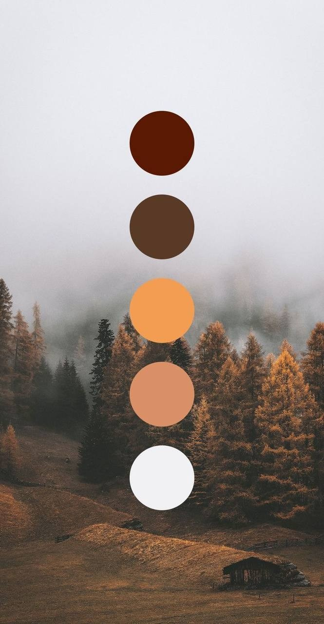 Как подготовиться к семейной фотосъемке?