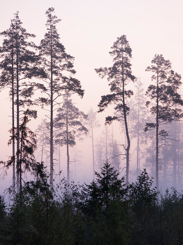 Landscape. Vasiliy Riabovol – Fine Art Photography | Zeit, Raum und Stille