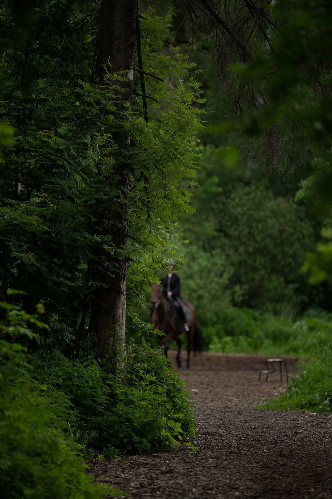 Конюшня. Мир живой фотографии о Вас и для Вас