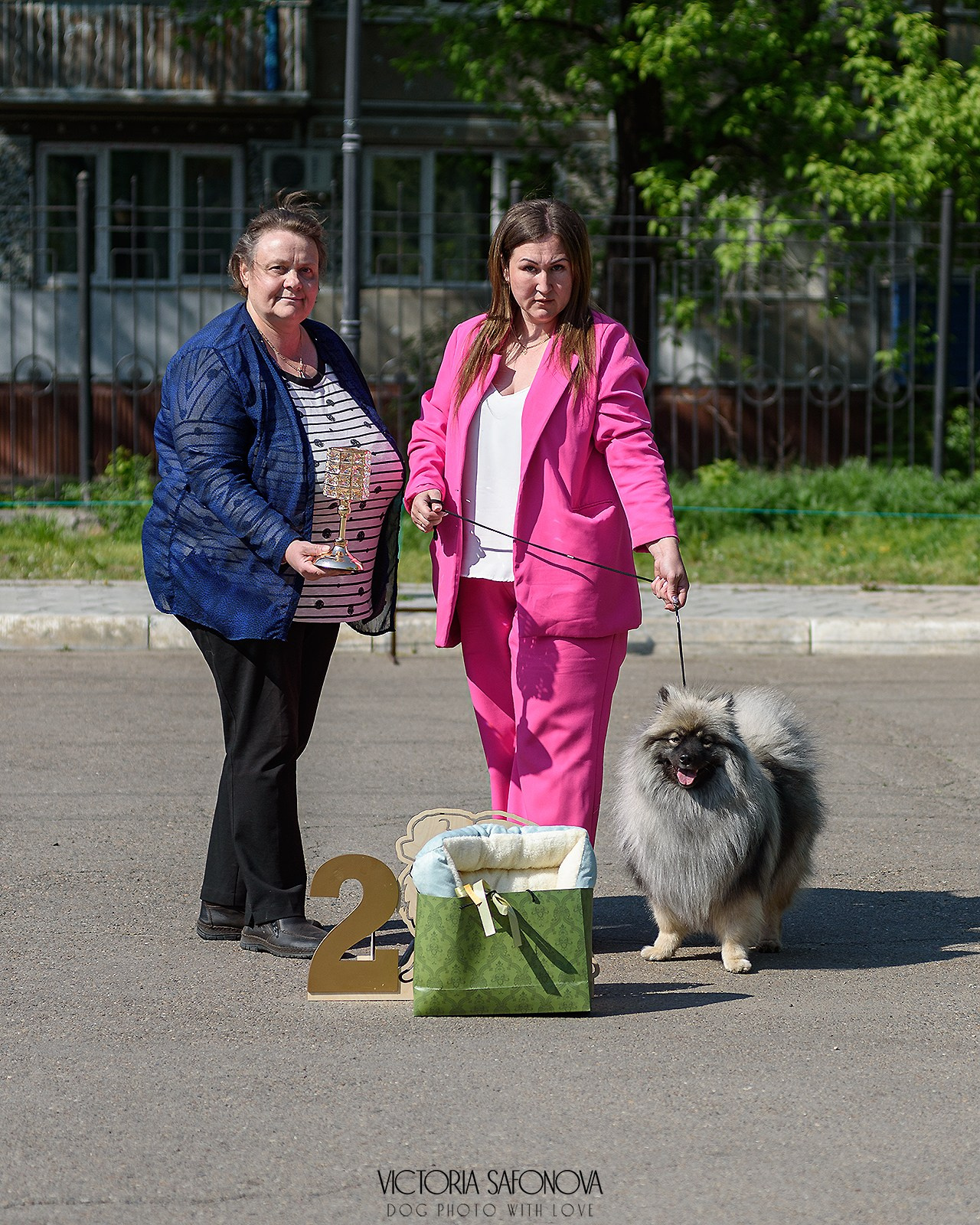 19 мая 2024 Благовещенск. Монопородная выставка шпицев. Фотограф анималист Благовещенск. Сафонова Виктория