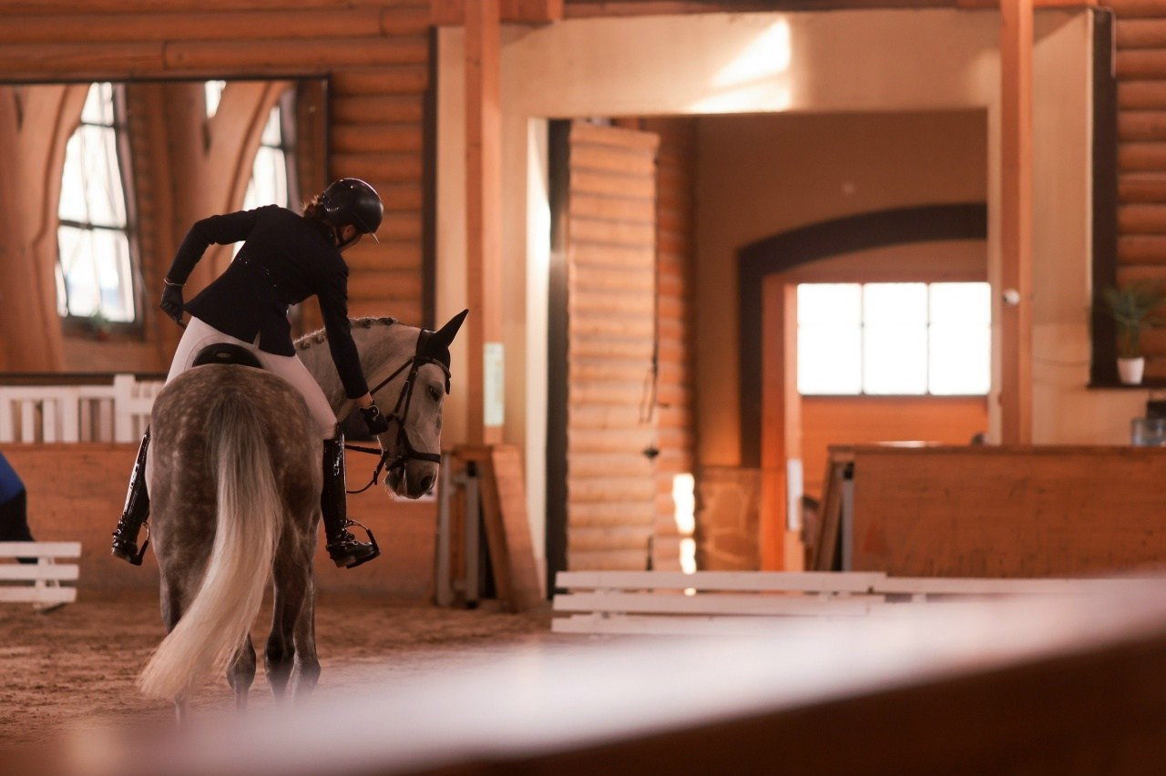 Зимние соревнования. Фотосессии с лошадьми