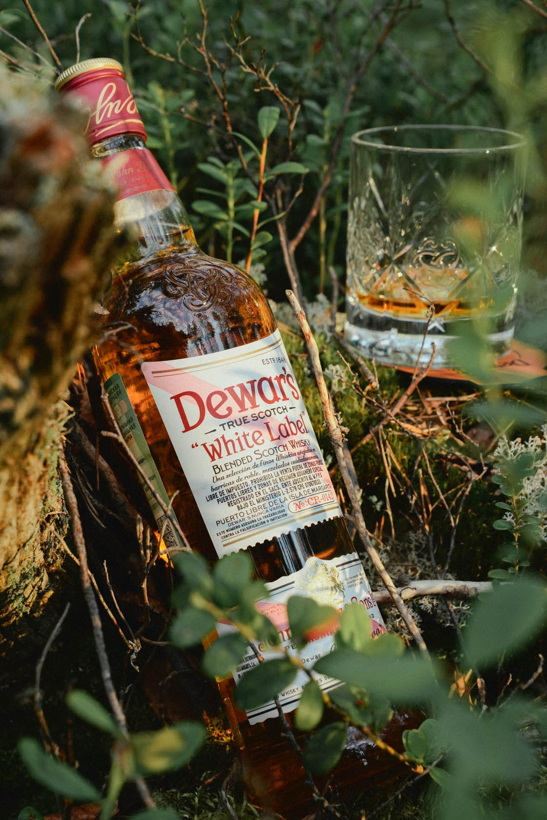 Репортаж мероприятия / Соль земли. Съемки