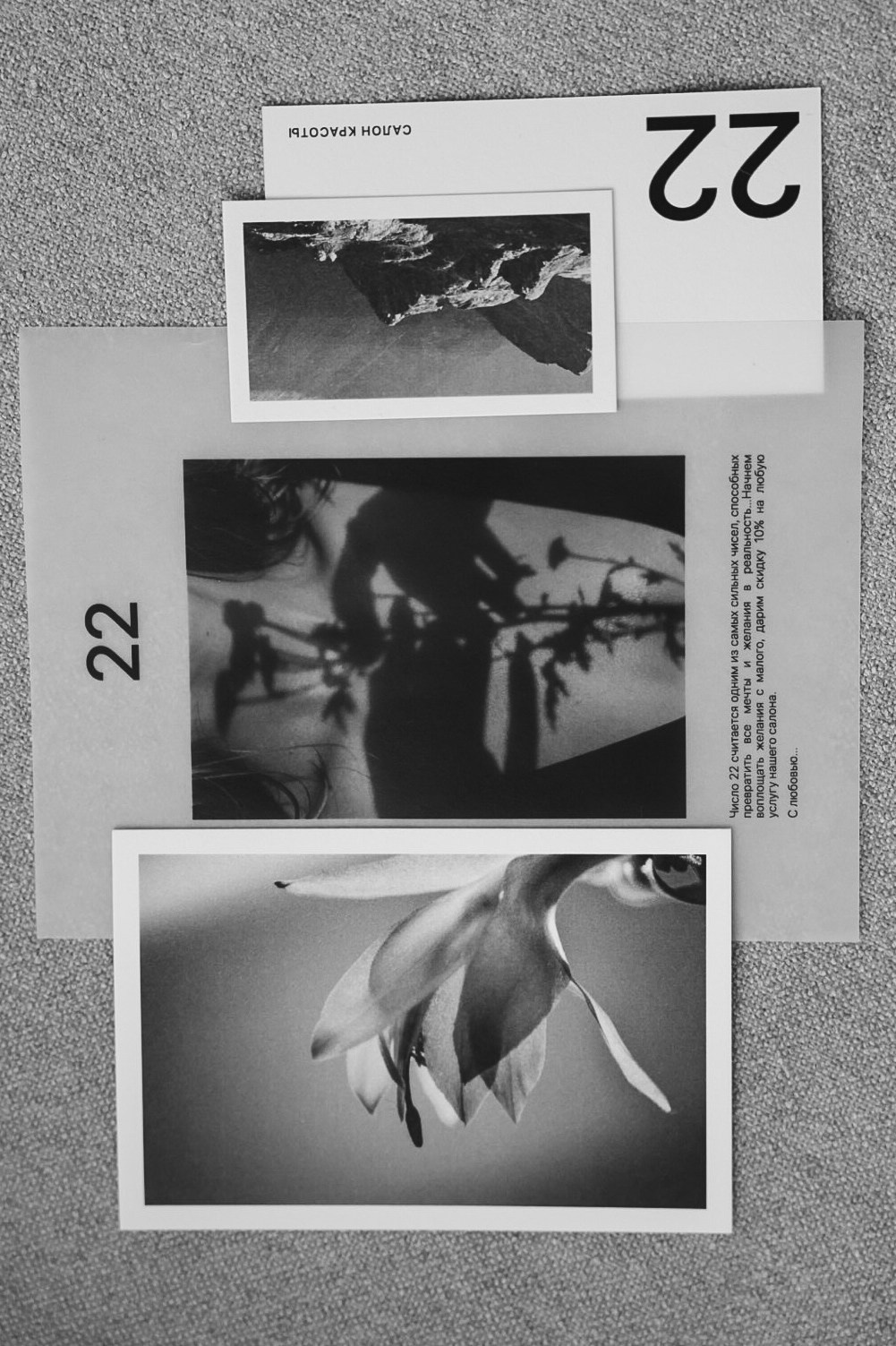 22 zima. Фотограф Нижний Новгород