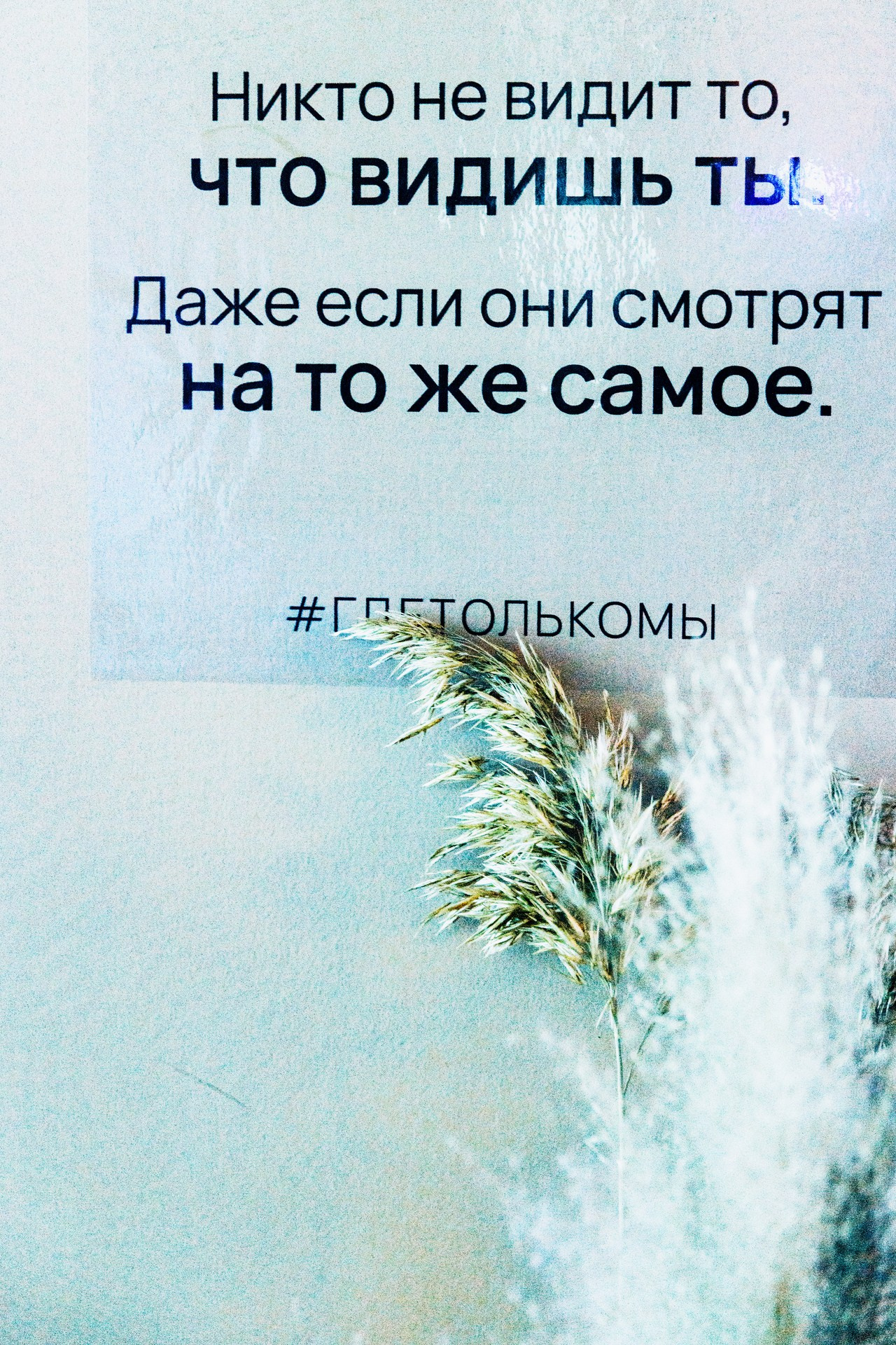 Иммерсивное шоу | Александровский парк. Фотограф Диана Катинская