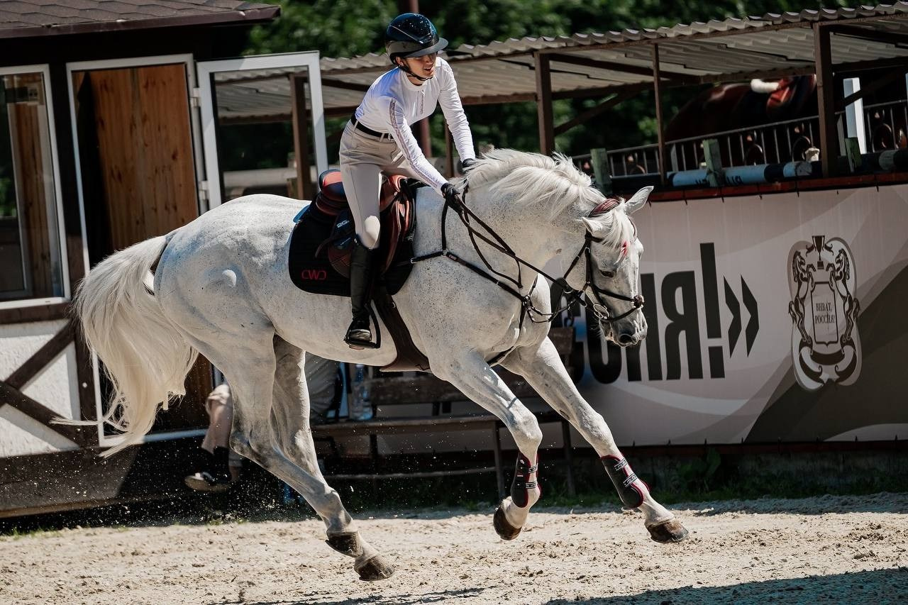 «КОМАНДНЫЙ ДРАЙВ», 2 этап — КСК «ВИВАТ, РОССИЯ!». Куракина Дарья • Конный фотограф