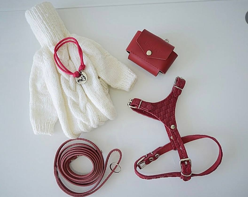 Сборные луки. Профессиональный питомник левреток РКФ/FCI ASTI SAPPHIRE 💎 Сочи|Санкт-Петербург