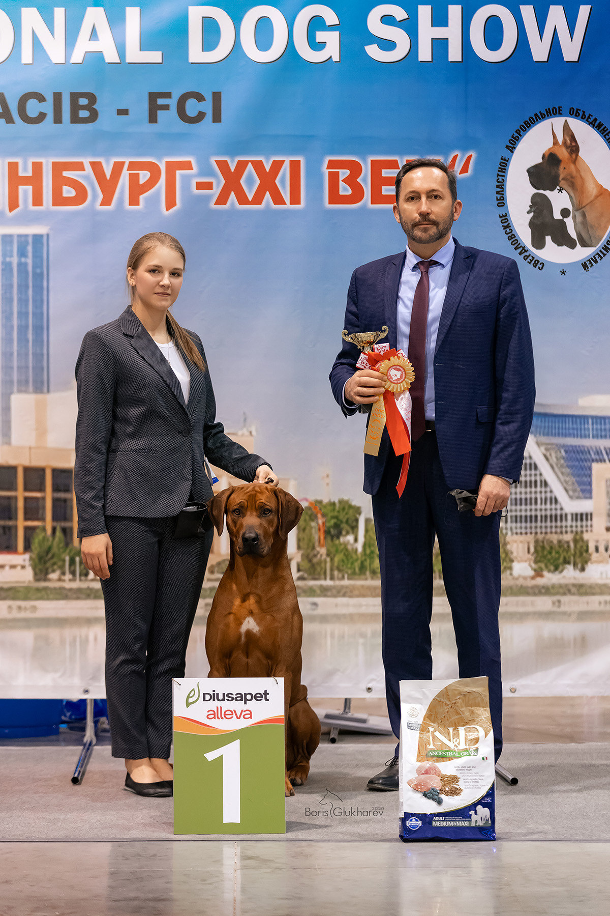 Фотографии родезийского риджбека Adhamas Geni Nala (Алана). Rhodesian ridgeback Adhamas Geni Nala