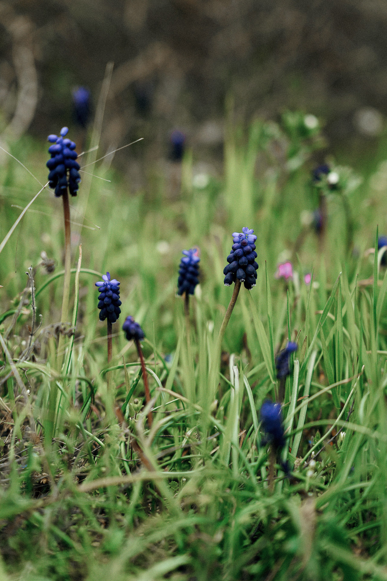 Богдан и Лиза. Свадьба в Крыму. Саша Потапкин Фотограф. Сочи, Екатеринбург, Москва