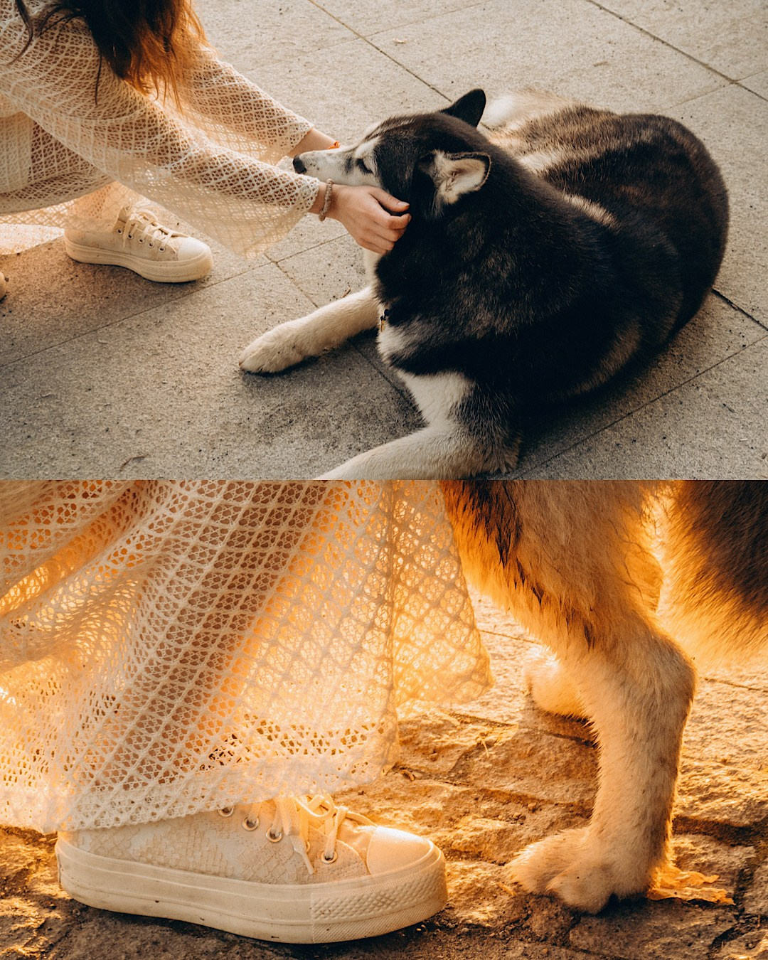 Мария и Вегас. Фотограф анималист в Москве и Санкт-Петербурге Свиридова Анна