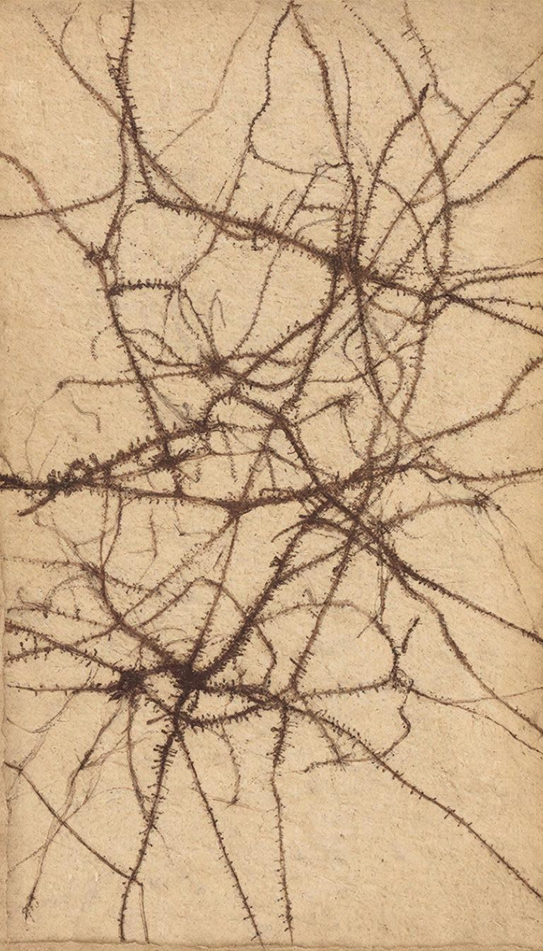 КНИГА ХУДОЖНИКА / ЗИН. CONTEMPORARY ARTIST OLGA ANDRIYASH