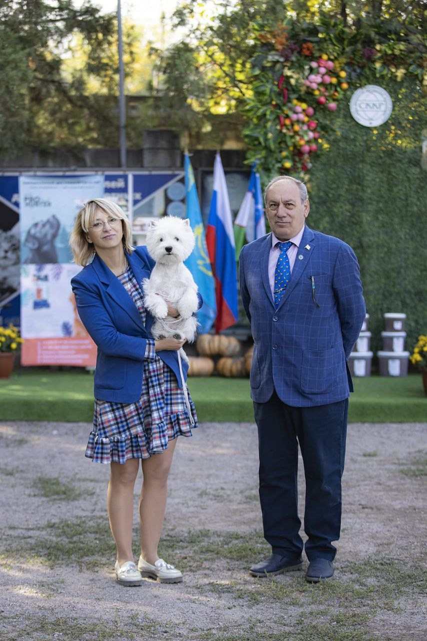 Три дня международных выставок в Бишкеке, Кыргызстан. Питомник собак породы вест хайленд вайт терьер в Москве