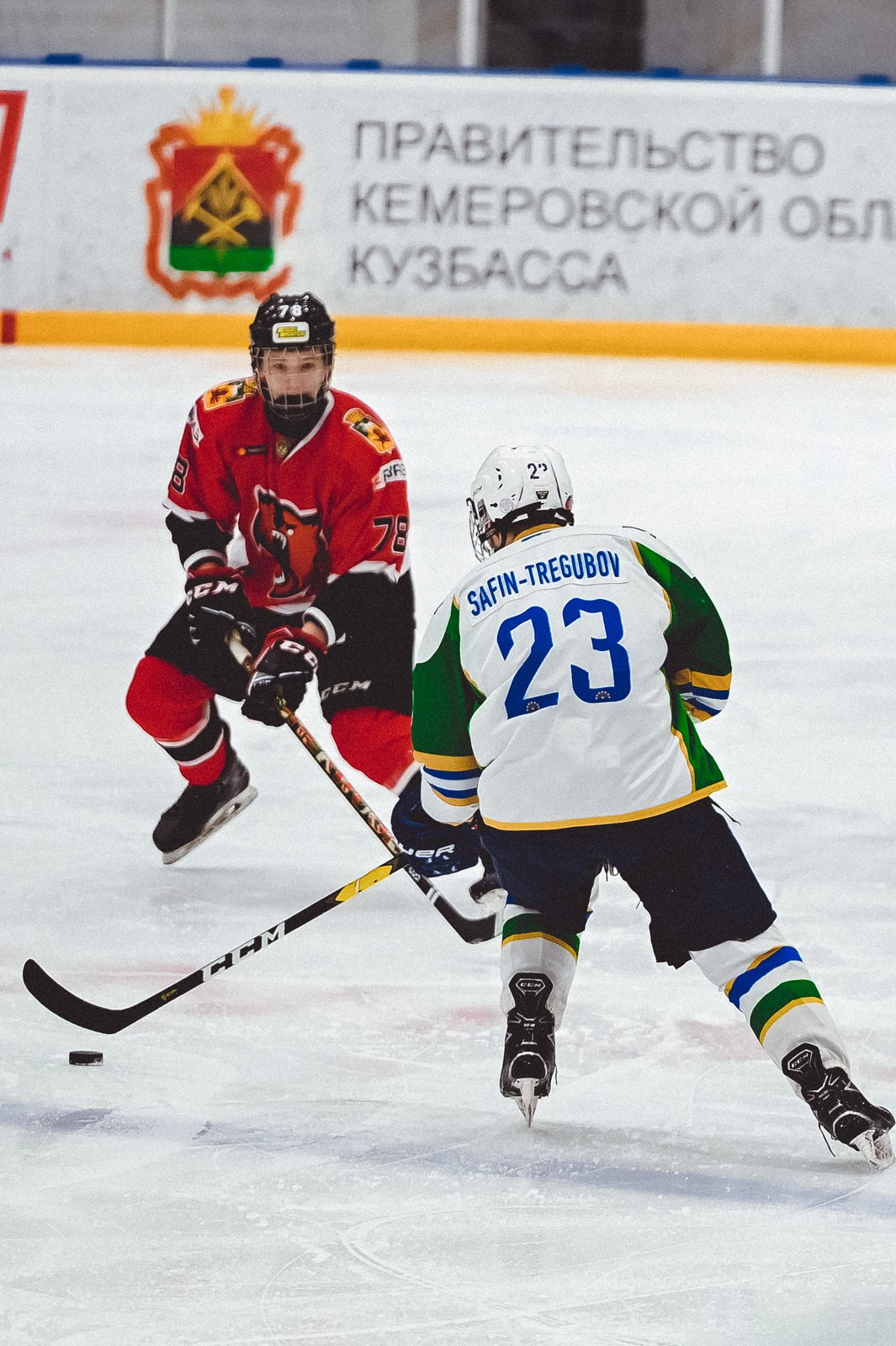 Медведи-Толпар. ProfotoNK