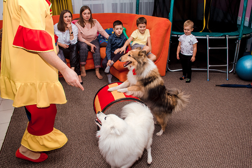 Дни рождения (кафе, агенства, рестораны). Семейный и свадебный фотограф в Воронеже Майя Добровольская