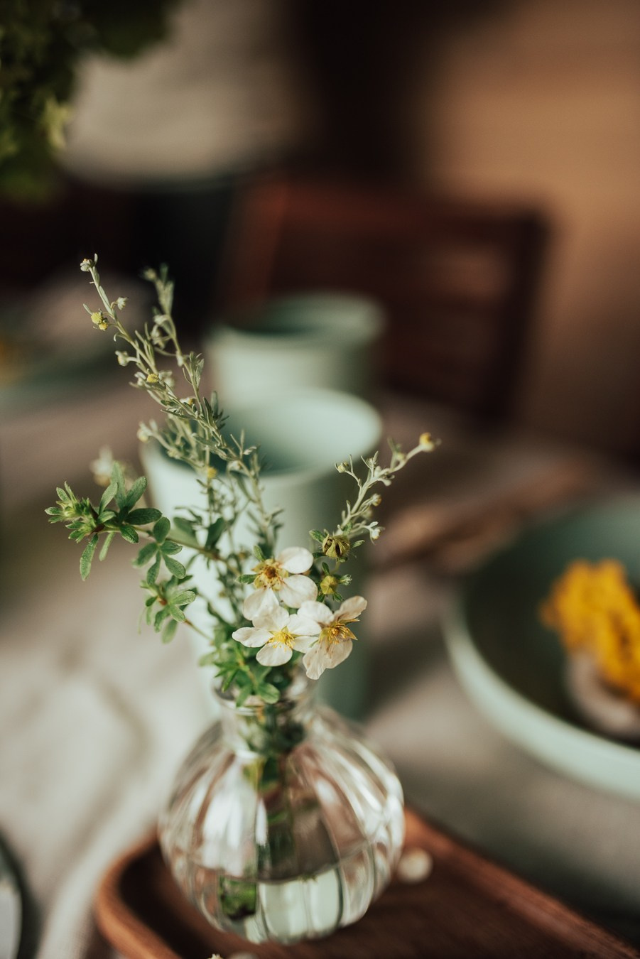 Годик | на даче