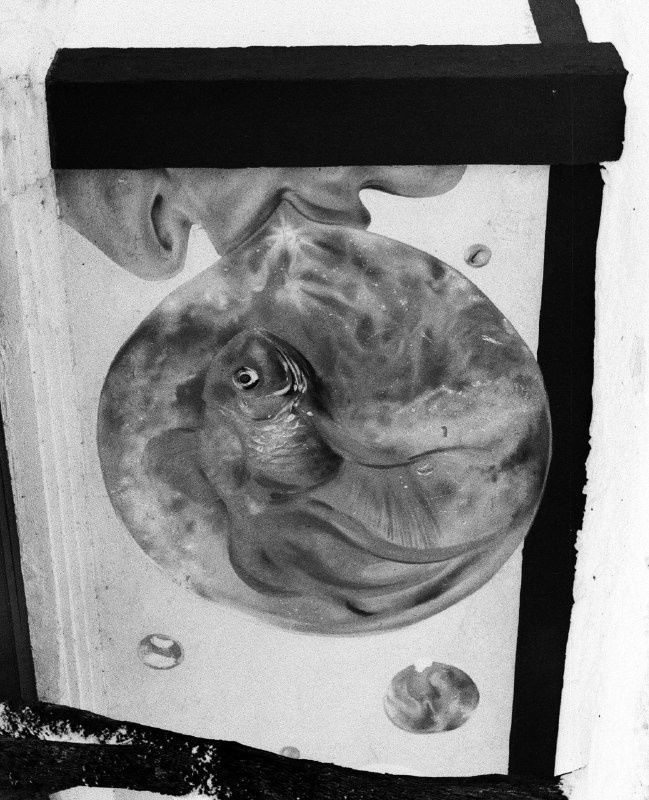 Арт. Фотограф — Маслеников Константин