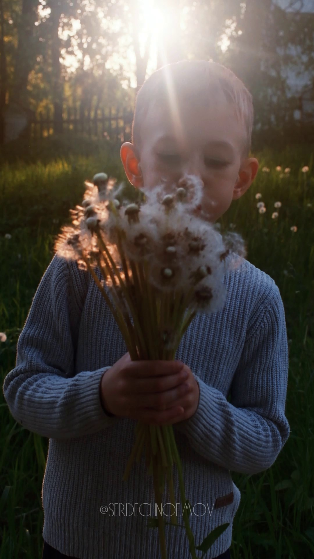 Контент видео. Видеограф Ярославль