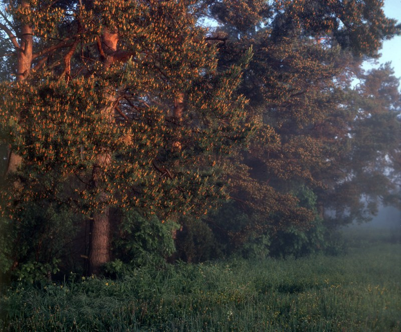 Лето. ВАДИМ ГИППЕНРЕЙТЕР — ВЕЛИКИЙ ФОТОГРАФ ЗЕМЛИ РУССКОЙ