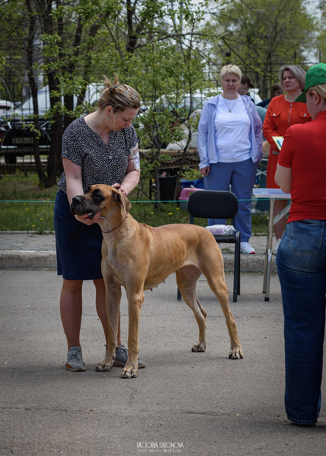 24–25 мая 2025. Благовещенск. Фотограф анималист Благовещенск. Сафонова Виктория