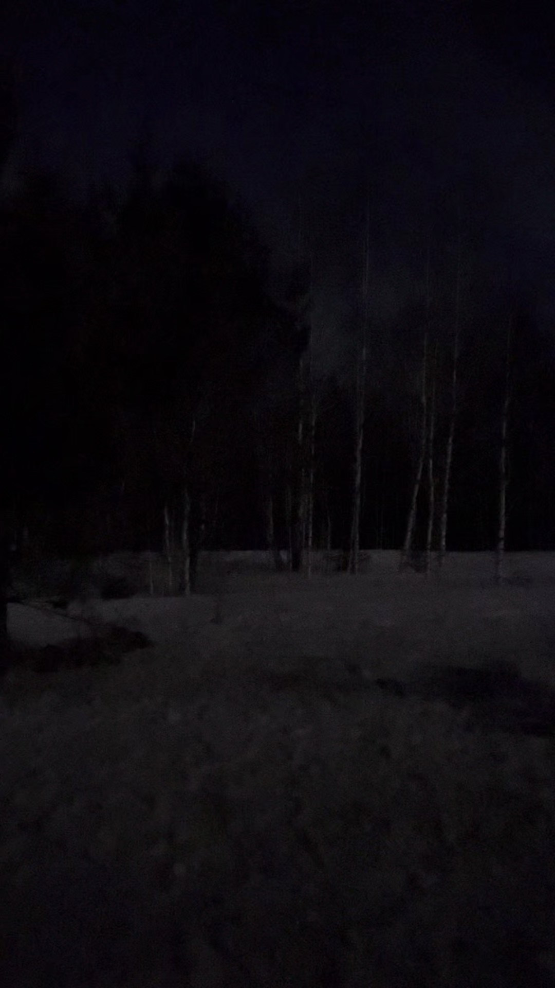 Уходит с уязвлённым самолюбием. Донеал Скнарь — концертный фотограф