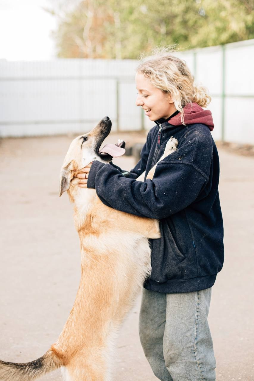Прогулки и волонтерство. Забери домой друга