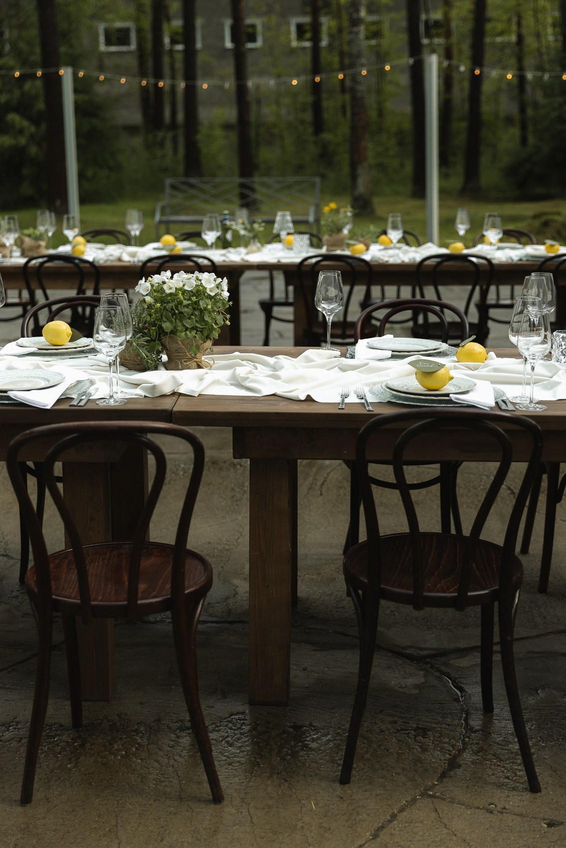 «Sposami per sempre»!. Свадебный фотограф Ярославль, Рыбинск