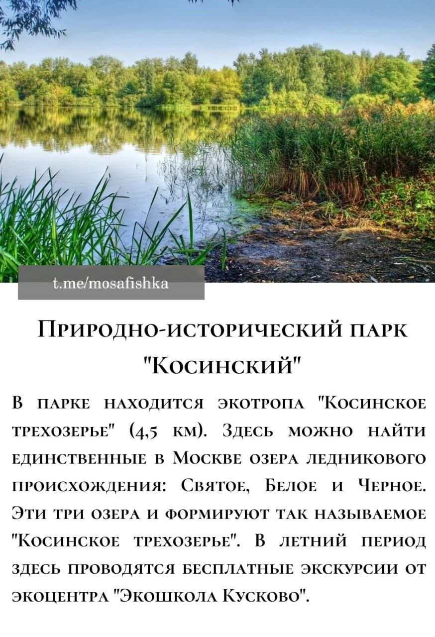 Локации для фотосессии в Москве