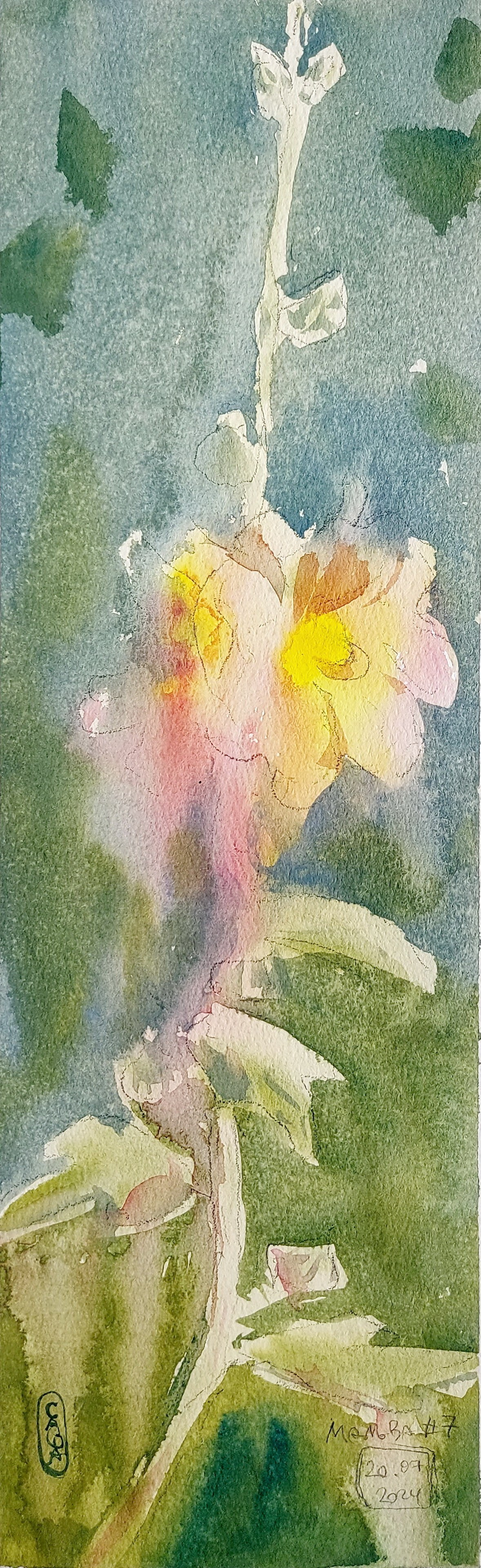 Flowers. Alexander Manaenkov | Watercolor Artist from Siberia