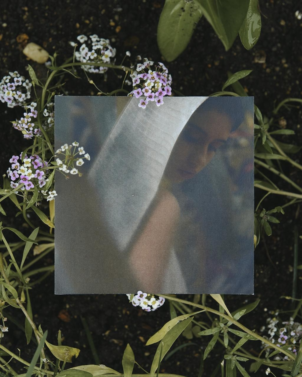 Exhibition for rain. Контент-креатор Паша Норицын