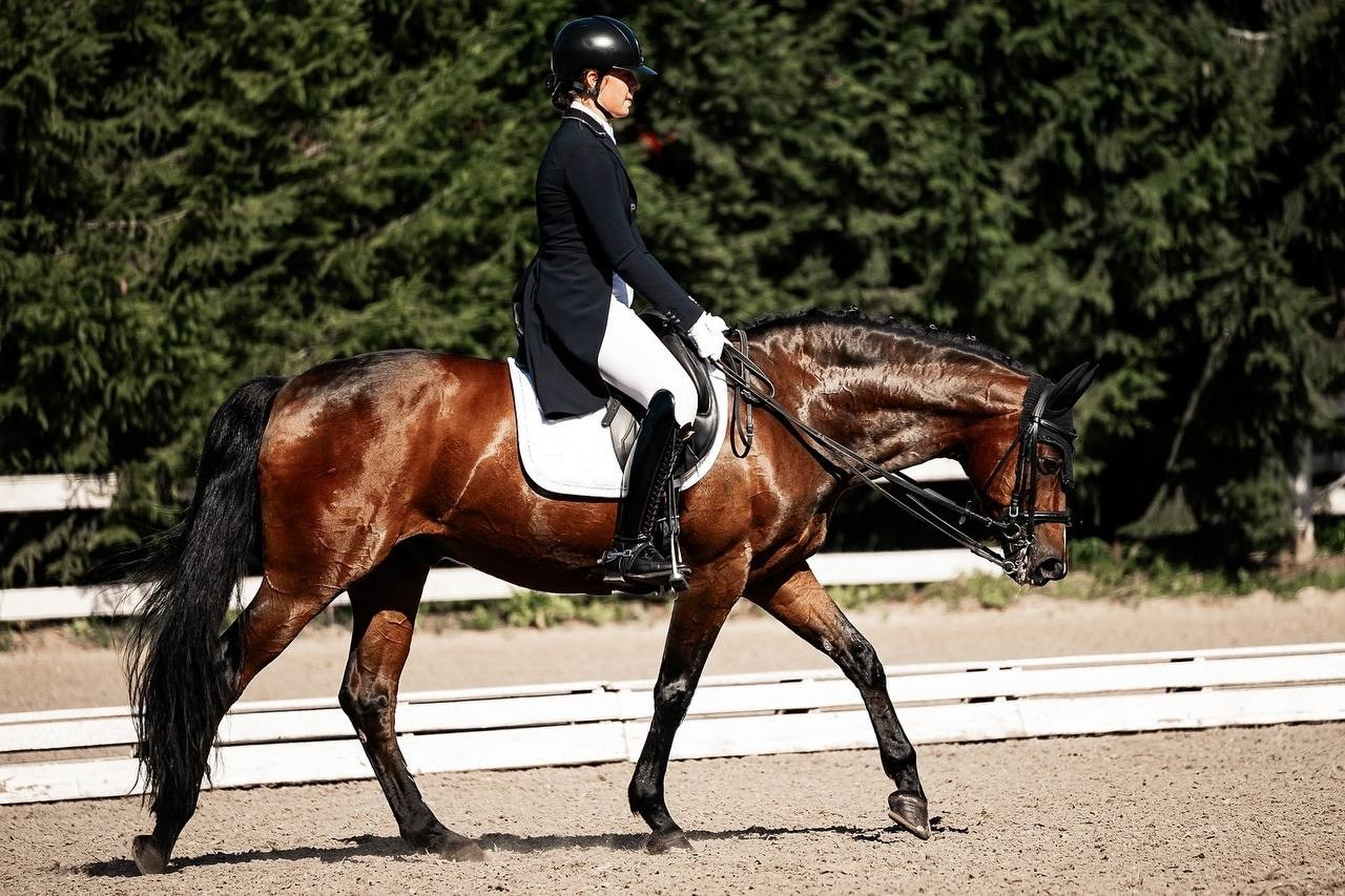 Кубок по ВЫЕЗДКЕ в КСК «РУССКИЙ АЛМАЗ» 8 этап. Куракина Дарья • Конный фотограф