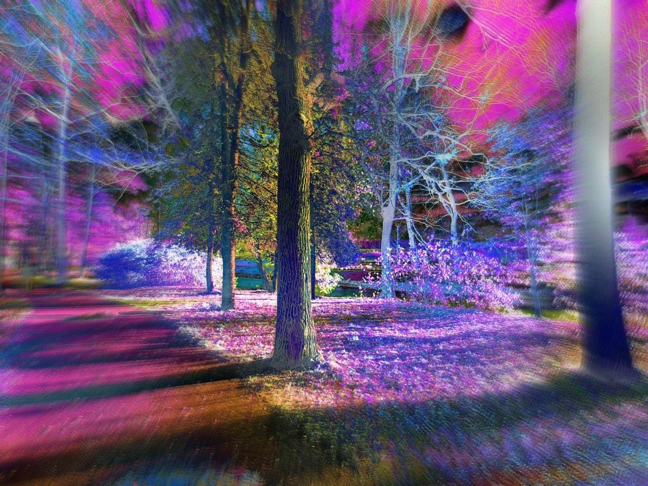 NEON LIGHT. VISUAL ARTIST