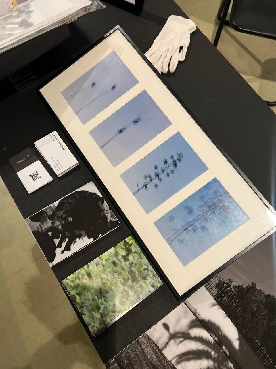 WIN-WIN art fair 2025. Фотограф алина стерхова, алина стерхова фотограф, фотограф москва