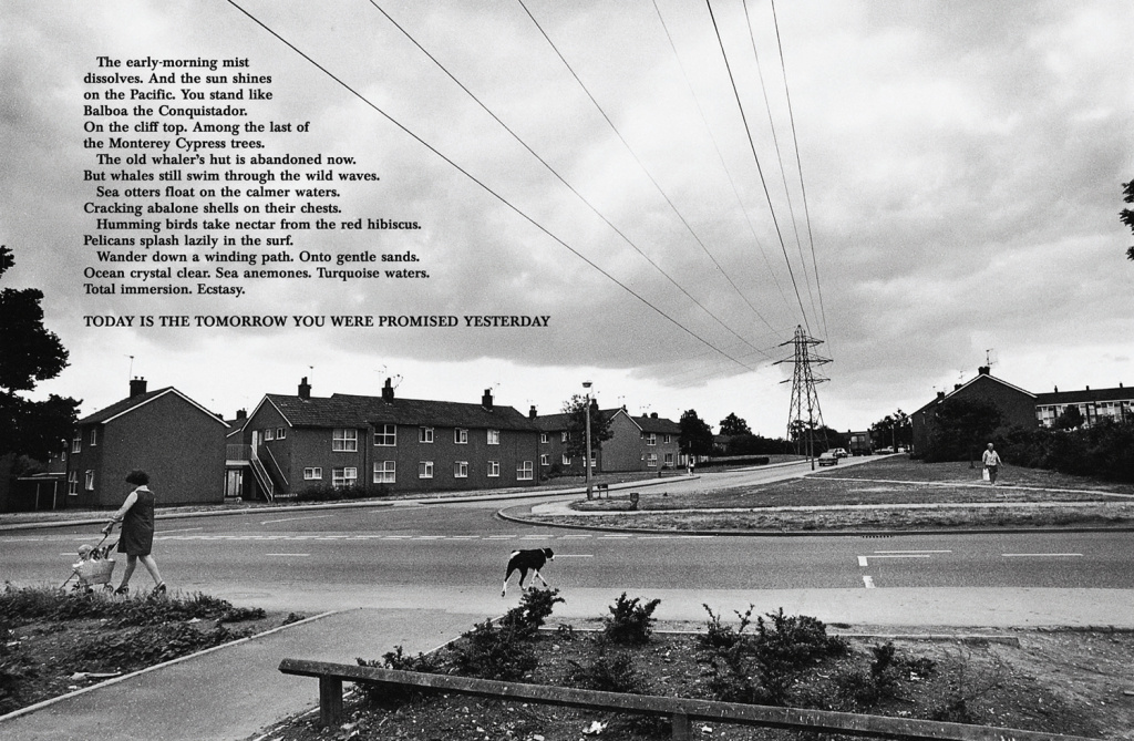 New! с 19 октября 2020 Между новой экологией и футурологией. Ekaterina Vasilyeva photographer