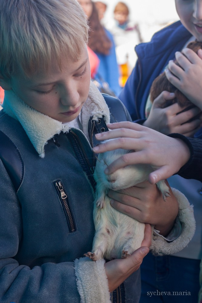 Ярмарка талантов. Детский и семейный фотограф, фотограф мероприятий Нижний Новгород