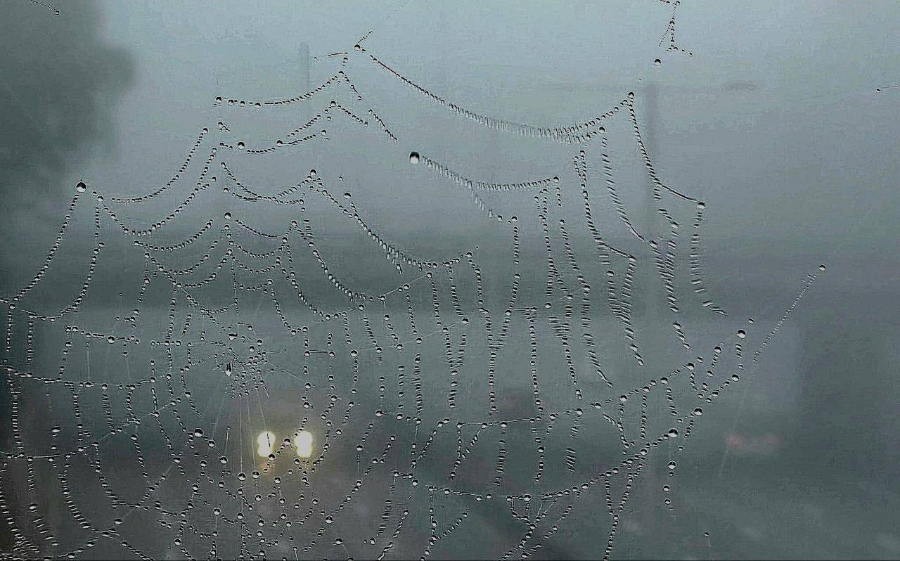 КРЫЛЬЯ творческая мастерская 25-26. Онлайн фотошкола просто о фото, фотограф, психолог фототерапия москва сочи анна ивкина