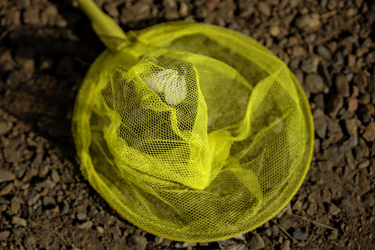 Детская фотосессия на улице. Семейный и детский фотограф в Красноярске Ольга Гаврикова