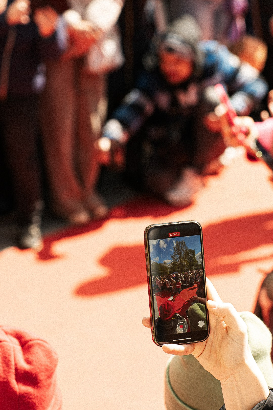 Парад Бульдогов. Axenov_eugene