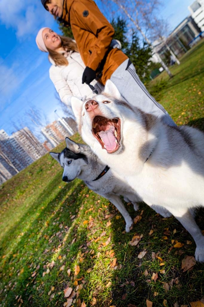 Братеевский парк. Фотограф в Москве и Подмосковье Тищенко Лидия
