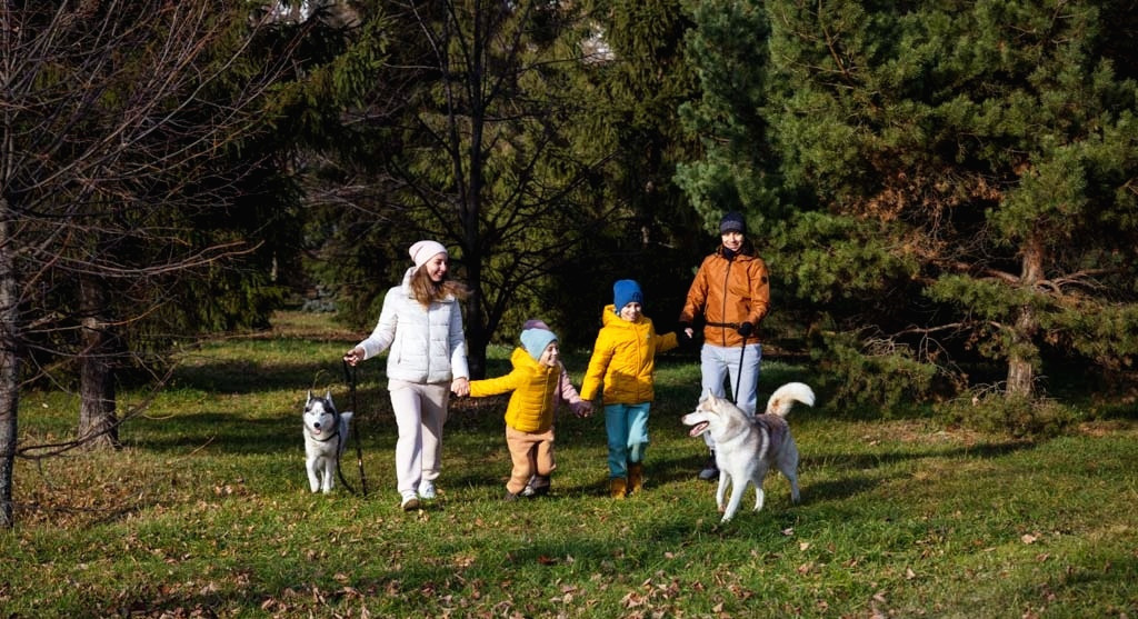 Братеевский парк. Фотограф в Москве и Подмосковье Тищенко Лидия