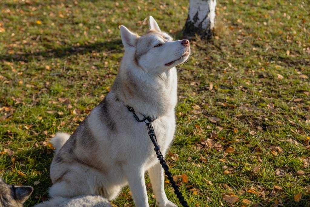 Братеевский парк. Фотограф в Москве и Подмосковье Тищенко Лидия