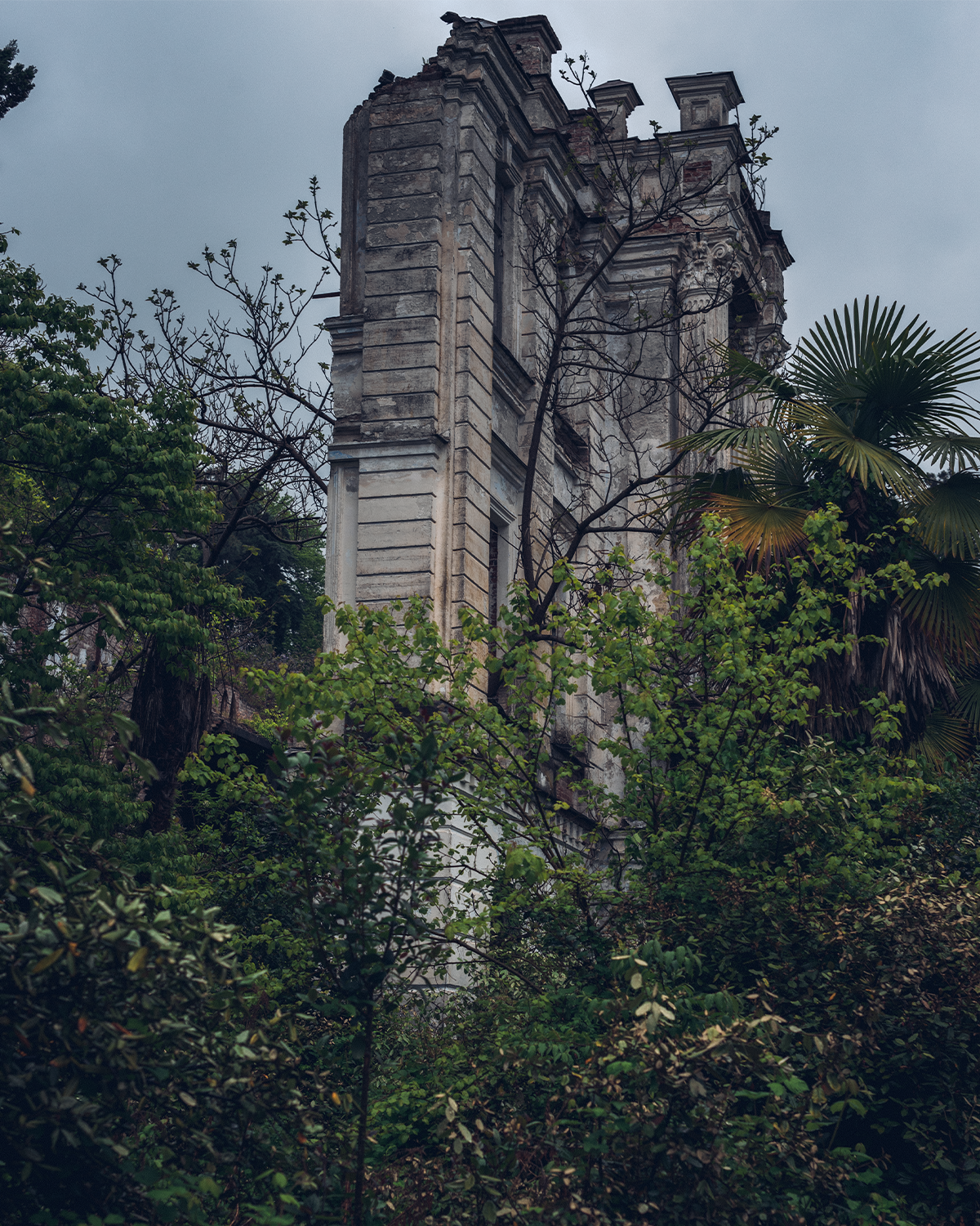 Абхазия в объективе: путешествие рекламного фотографа из Гуанчжоу. Коммерческий и предметный фотограф в Гуанчжоу Коваленко Александр