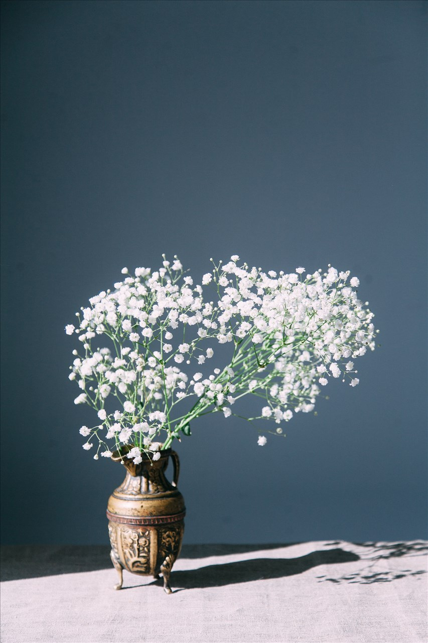 Съемка для пекарни "Пекара"