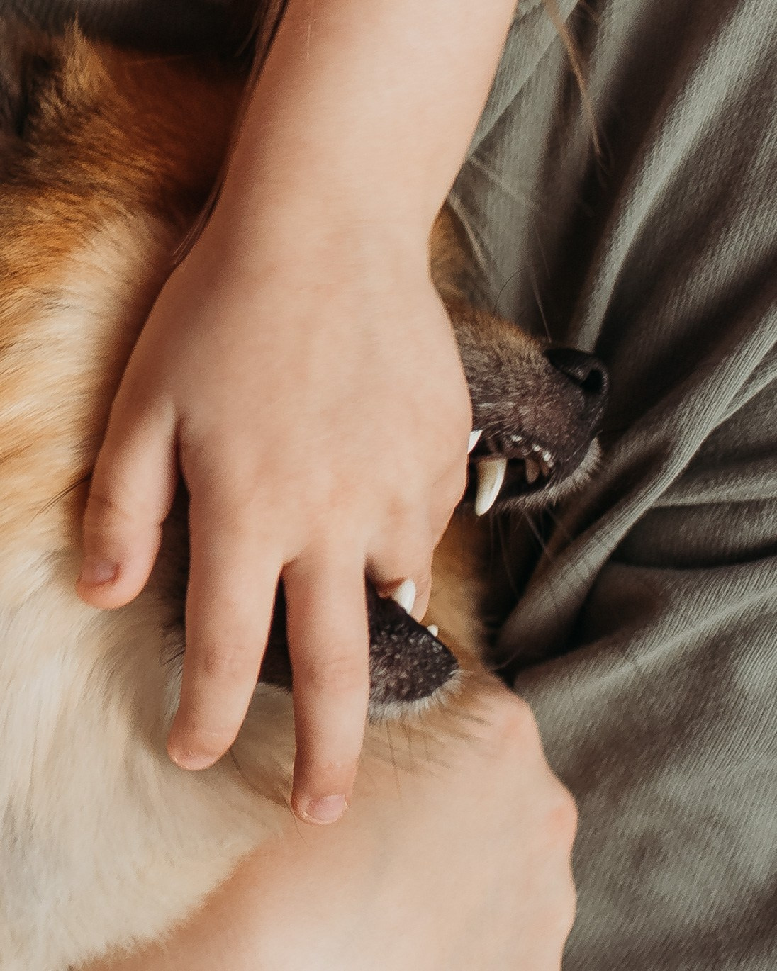 Алла, Руслан и Тимур. Фотограф г. Хабаровск